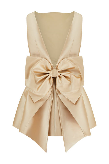 Chloe Open Back Bow Detail Mini Dress